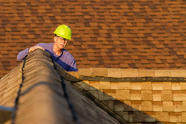 Best Storm Damage Roof Repair  in Alamo Heights, TX
