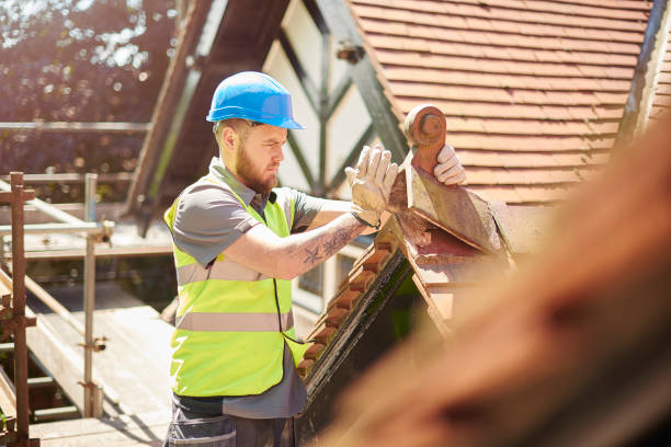 Best Roof Gutter Cleaning  in Alamo Heights, TX